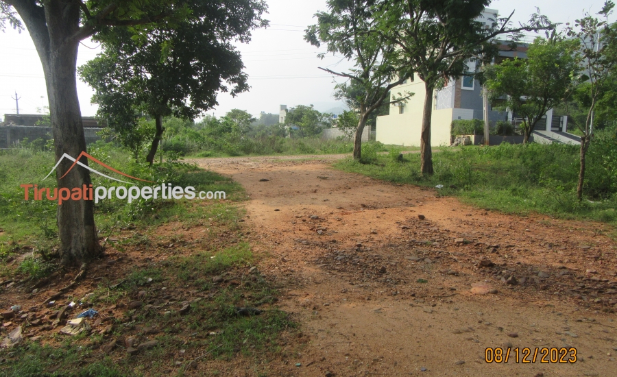 Tuda Approved North and South Facing 68 Anks Two Plots for Sale in TUDA Layout HIG Near Karkamabadi Road, Tirupati